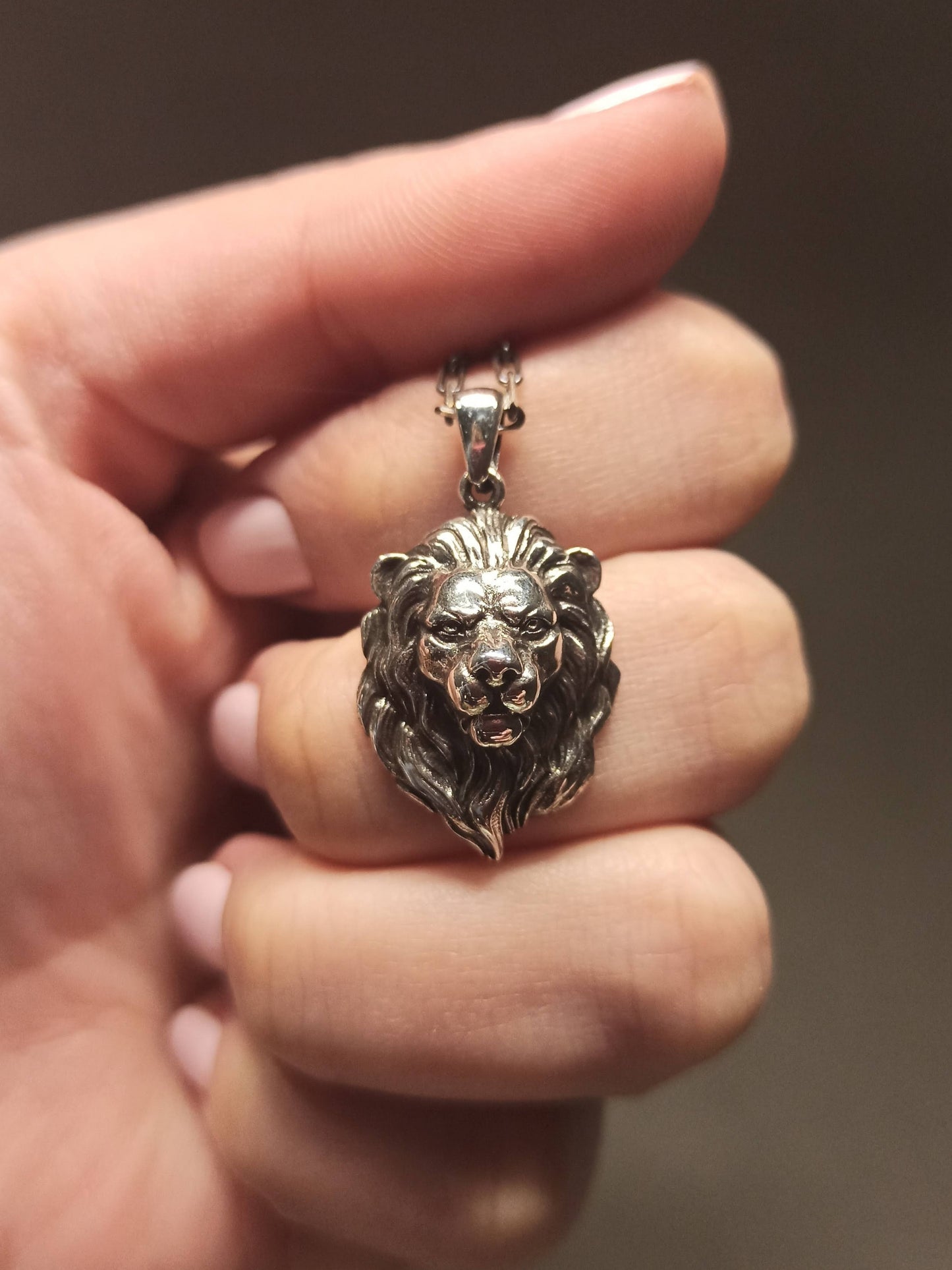 Gümüş Aslan Başı Erkek Kolye