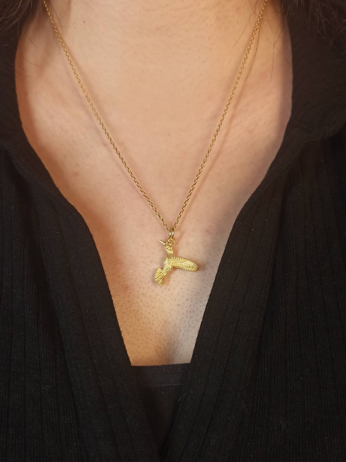 Sinek kuşu Gümüş Kolye