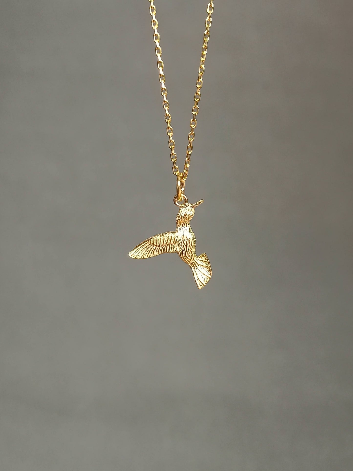 Sinek kuşu Gümüş Kolye