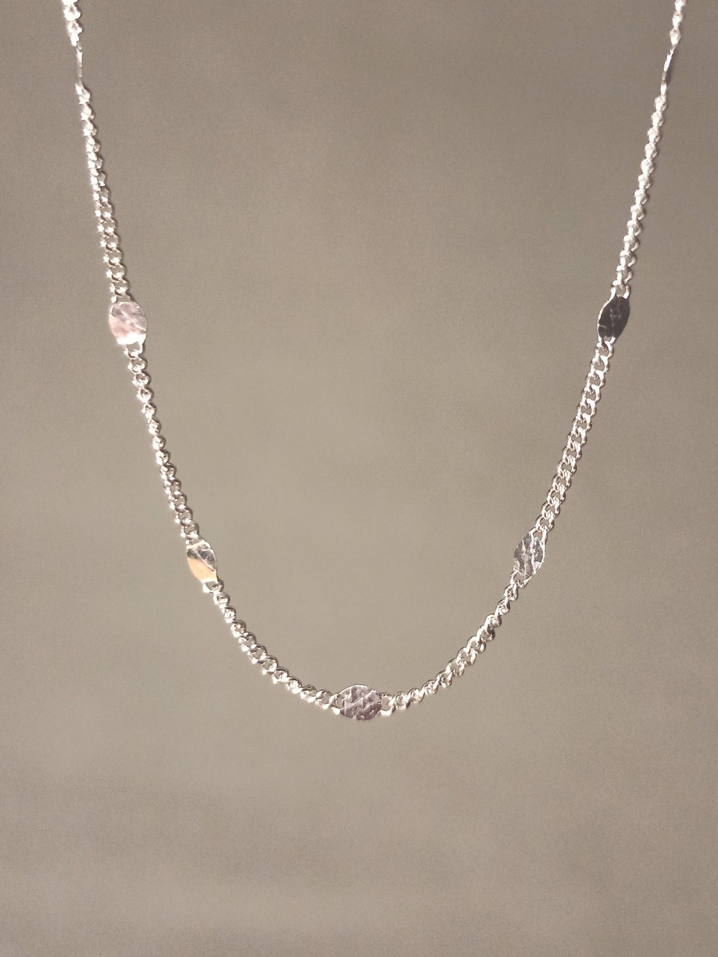 Gümüş Pullu Gurmet Zincir Kolye