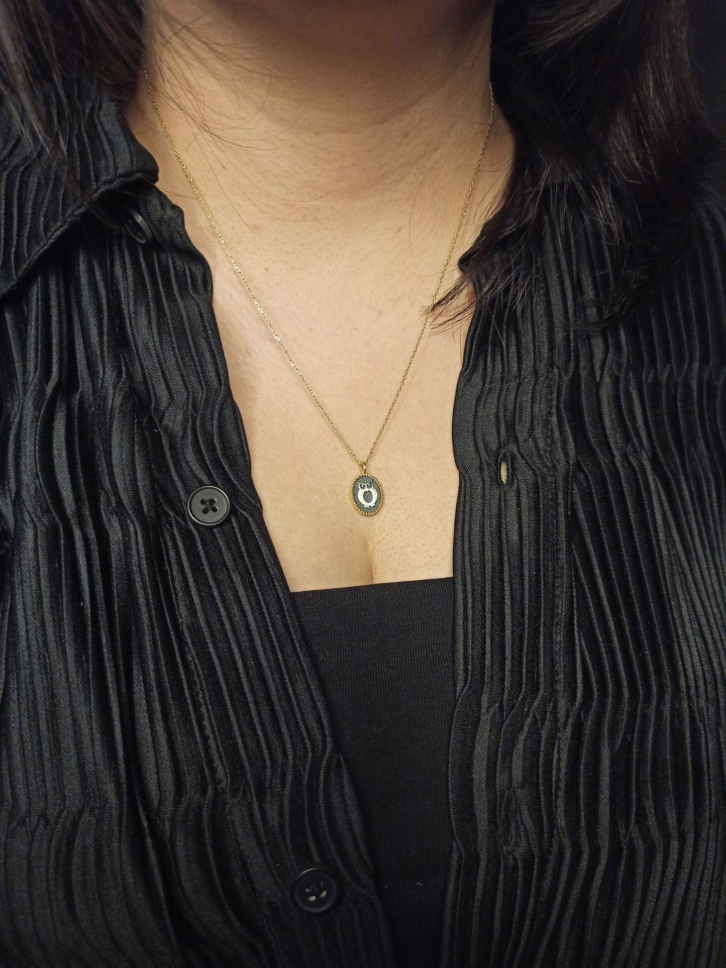 Gümüş Baykuş Mini Madalyon Kolye