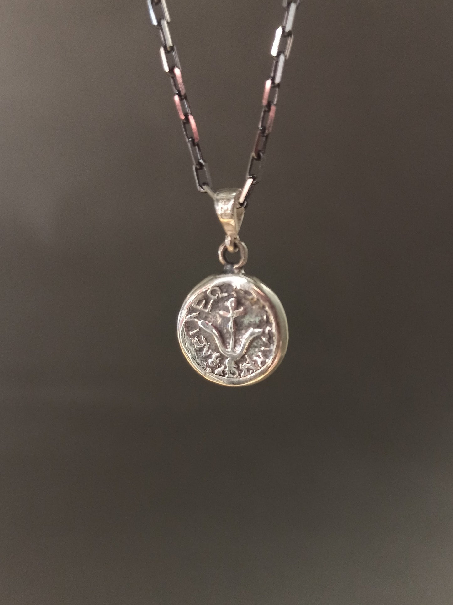 Çift Taraflı Antik Stil Gümüş Madalyon Güneş Kolye