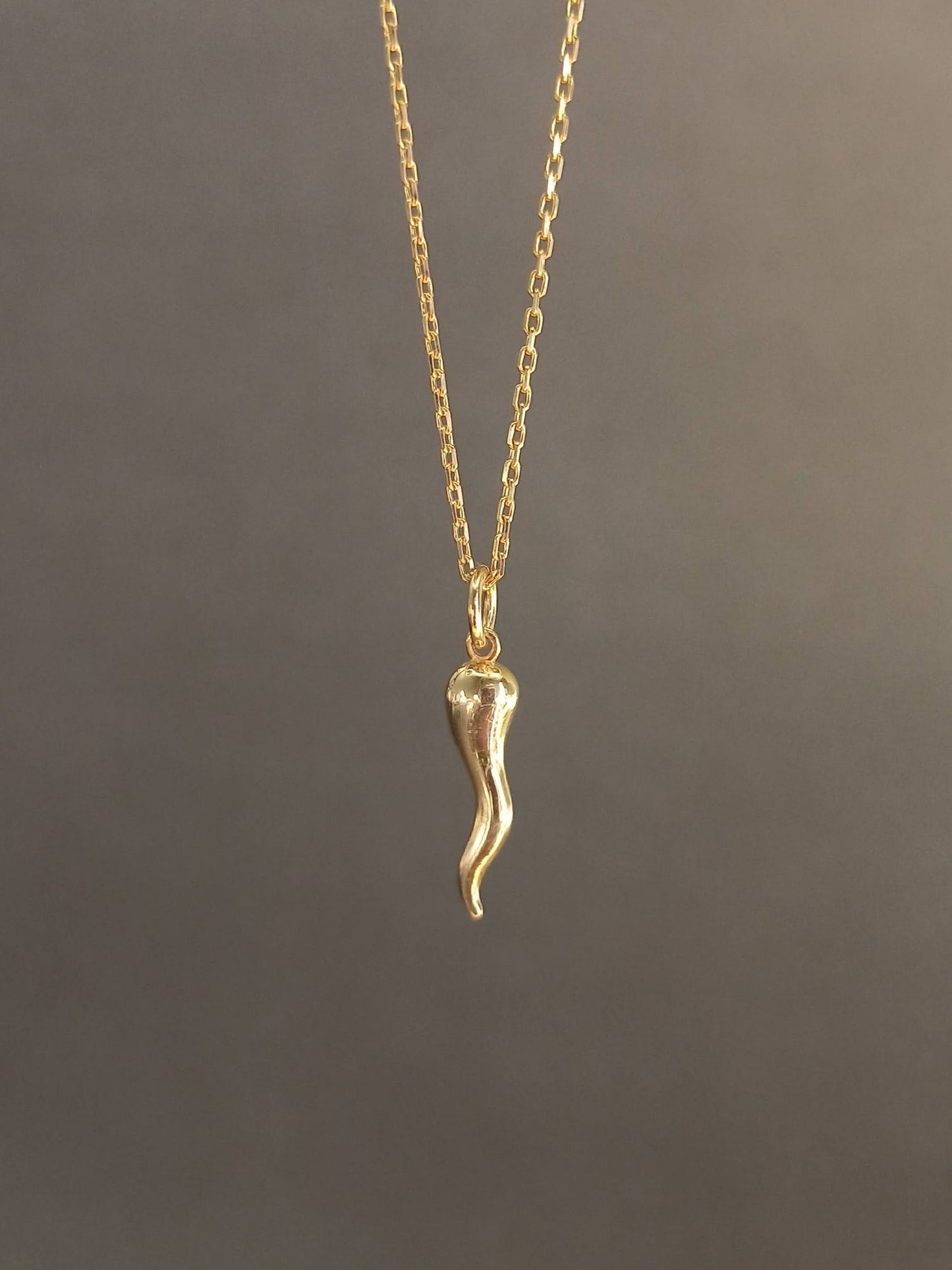 Gümüş Cornicello Kolye (İtalyan Şans Boynuzu)