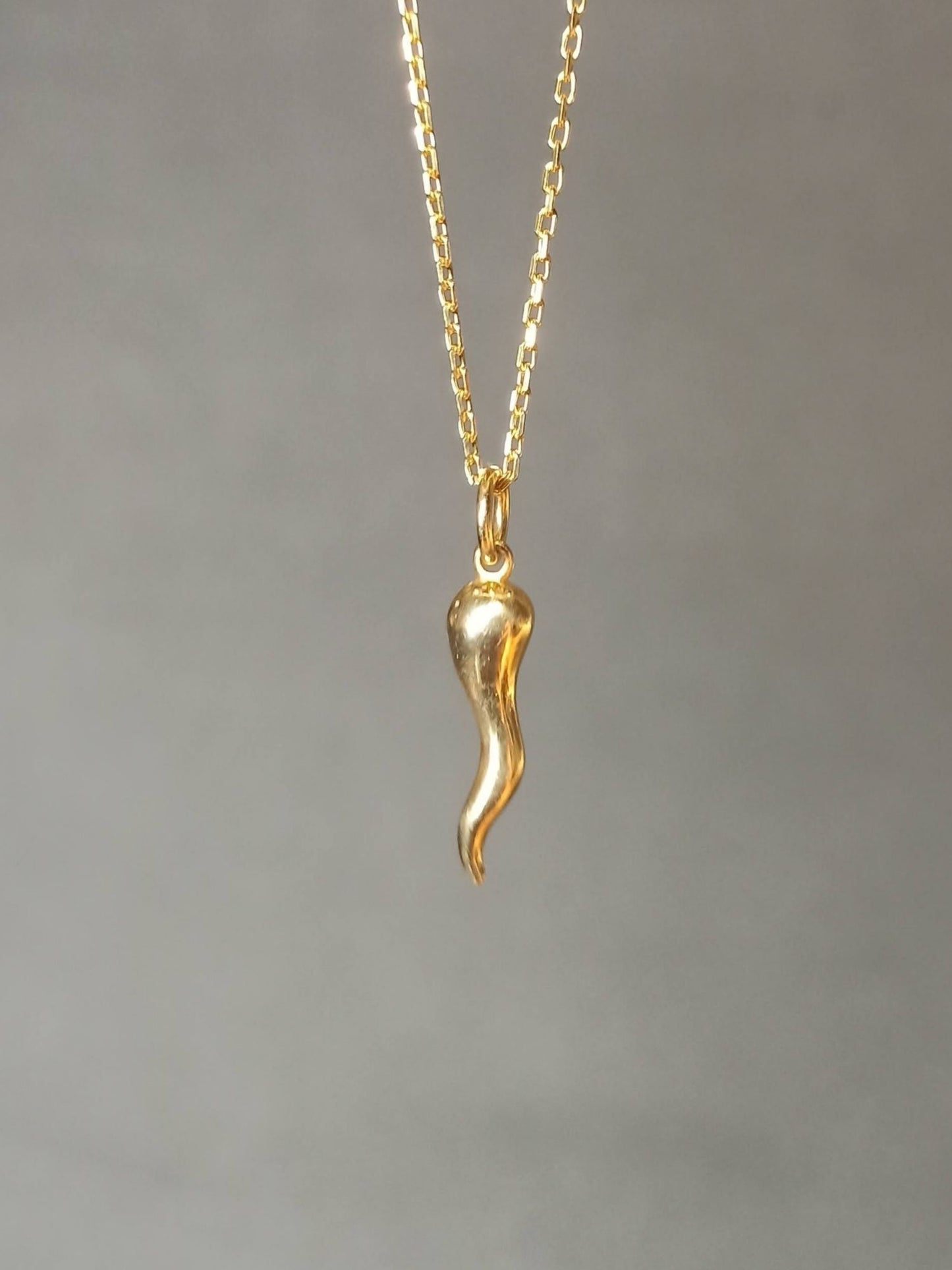 Gümüş Cornicello Kolye (İtalyan Şans Boynuzu)