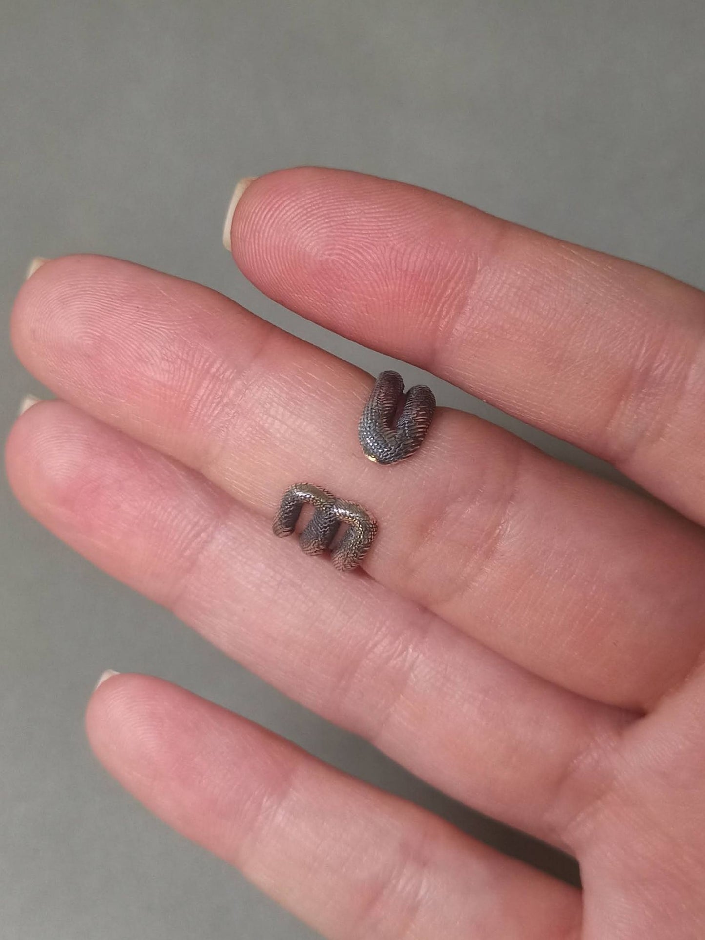 Gümüş Spiral Yılan Yüzük, Ayarlanabilir